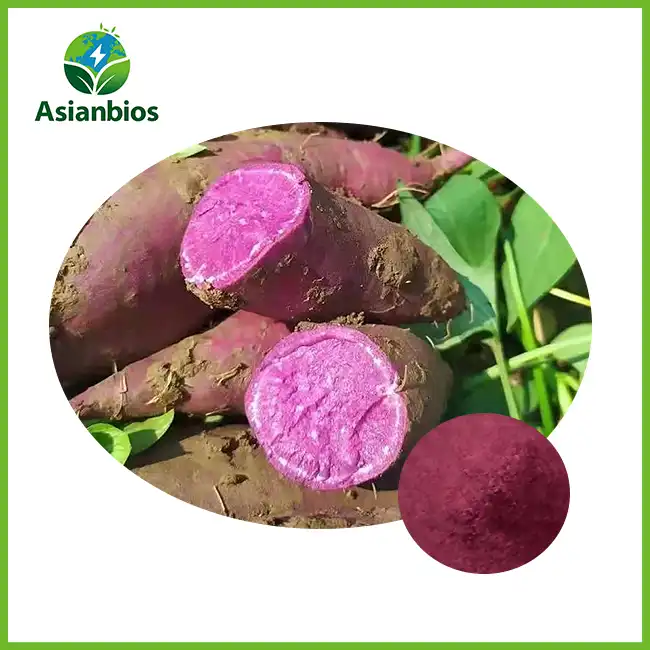 Bulk Purple Sweet Potato Powder